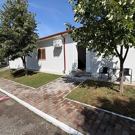 דירה Pine House